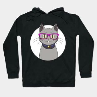 Cute Grey Cat with Nerdy Pink Glasses - Anime Shirt Hoodie